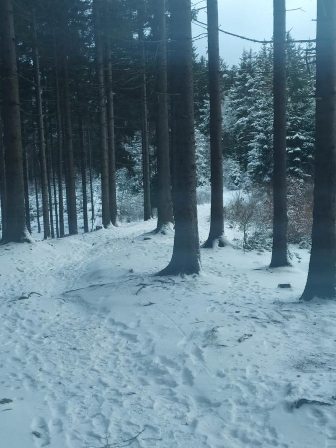 Penzion Bazalka Jablonec nad Nisou Luaran gambar
