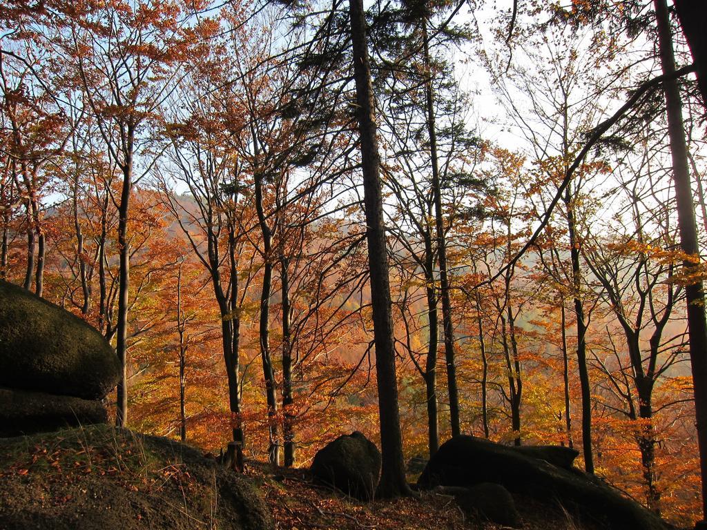 Penzion Bazalka Jablonec nad Nisou Luaran gambar
